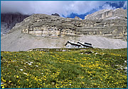 Carisolo