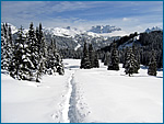 Dare` - Val Rendena
