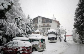 Chalet Fiocco di Neve - Val Rendena-0