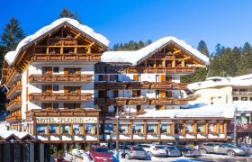 Hotel Splendid (Campiglio) - Madonna di Campiglio-0