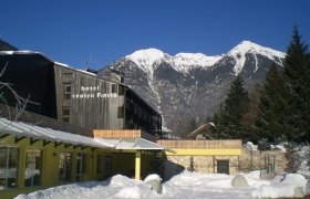 Centro Pineta Hotel & Wellness - Val Rendena-1
